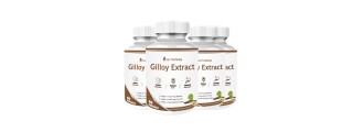 Nutripath Giloy Extract 40%- 4 Bottle